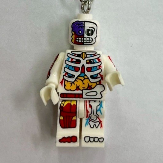 ブロックキーリング【人体模型】