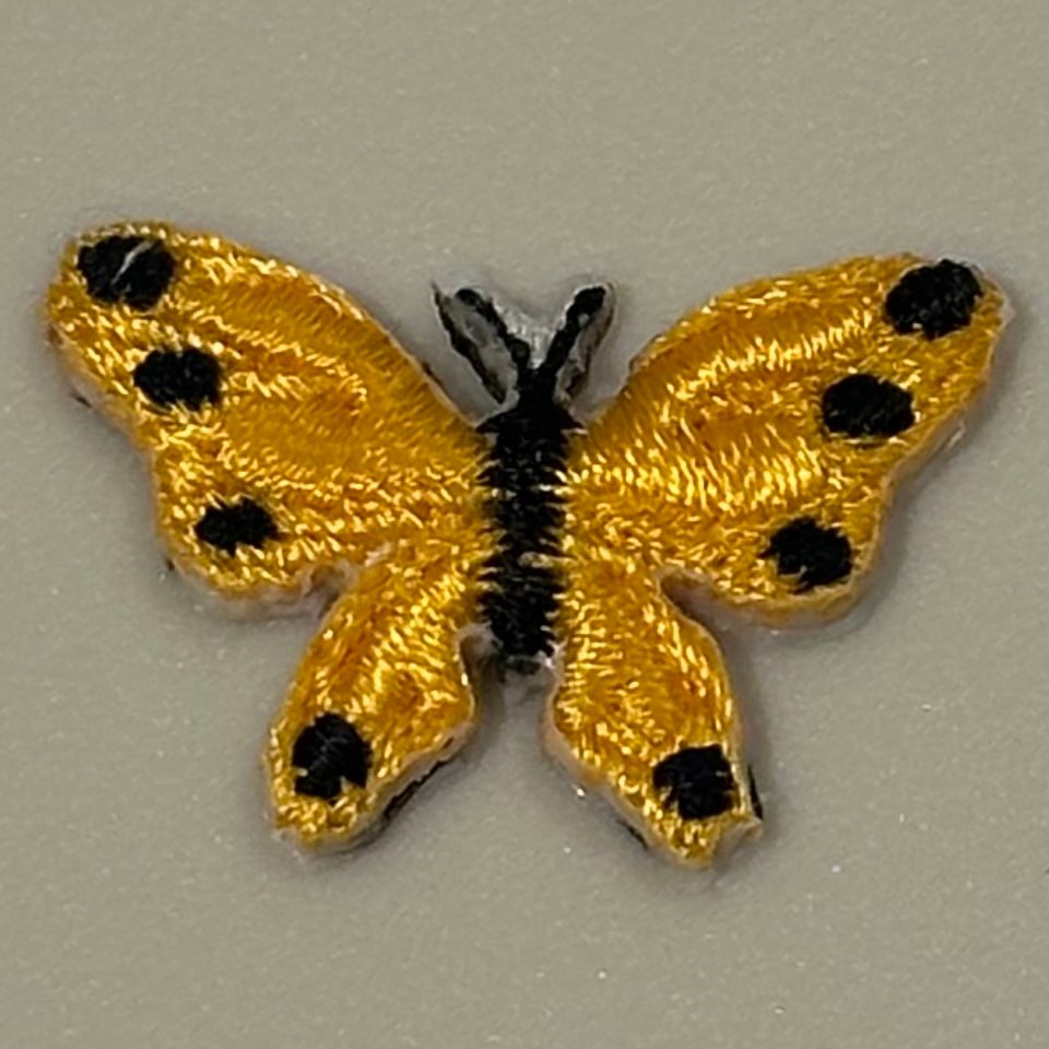 【Sunoa】butterfly