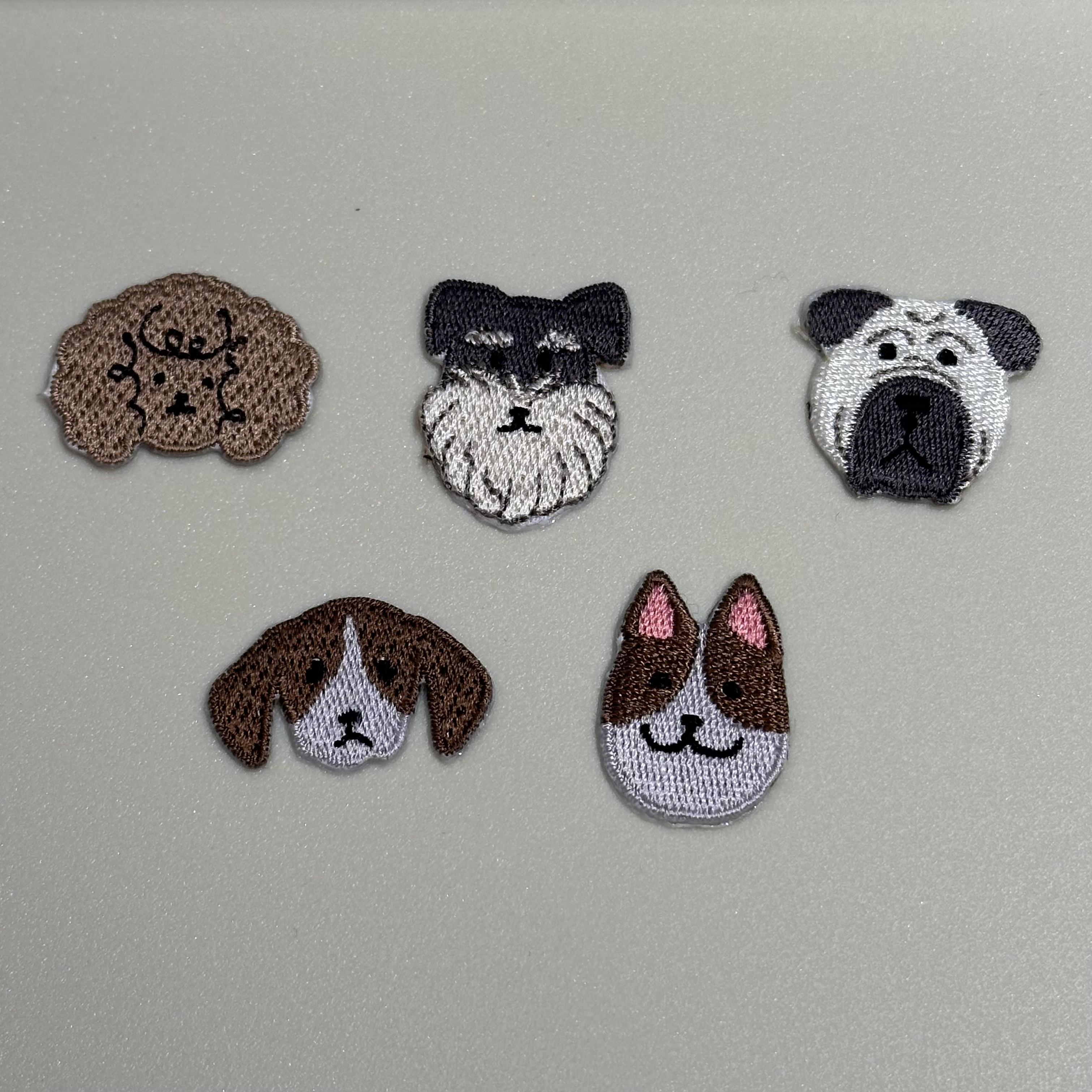 【Sunoa】animal cute face dog