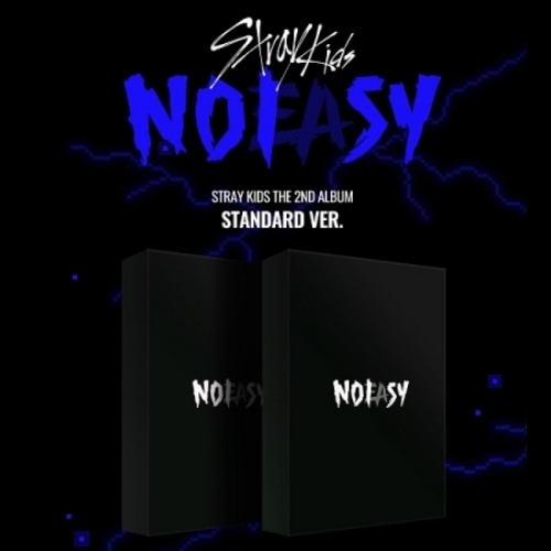グッズG社：アルバム(STRAYKIDS)-NOEASY