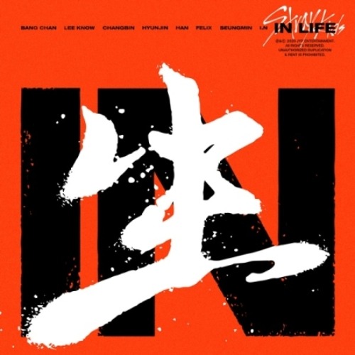 グッズG社：アルバム(STRAYKIDS)-INLIFE
